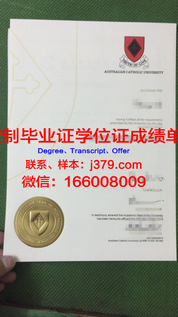 安德烈斯·贝略天主教大学硕士毕业证:一份承载荣誉与责任的证书