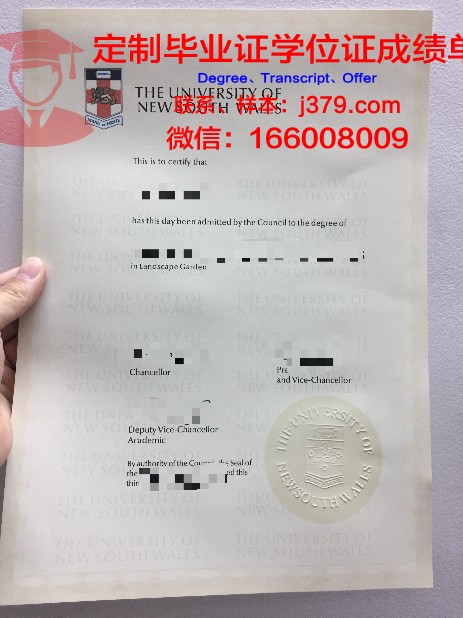 安娜毕业证:一张纸的重量与人生的意义