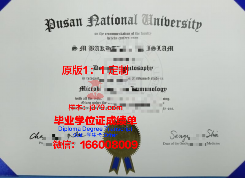 釜山国立大学成绩单:展现亚洲知名学府的教育实力