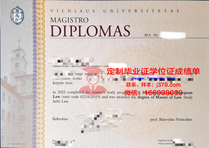 维尔纽斯师范大学拿不了毕业证(维尔纽斯理工大学)