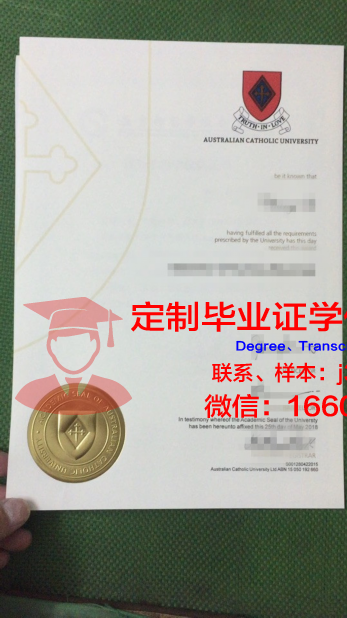 里约热内卢天主教大学硕士毕业证：一份国际认可的学术荣誉