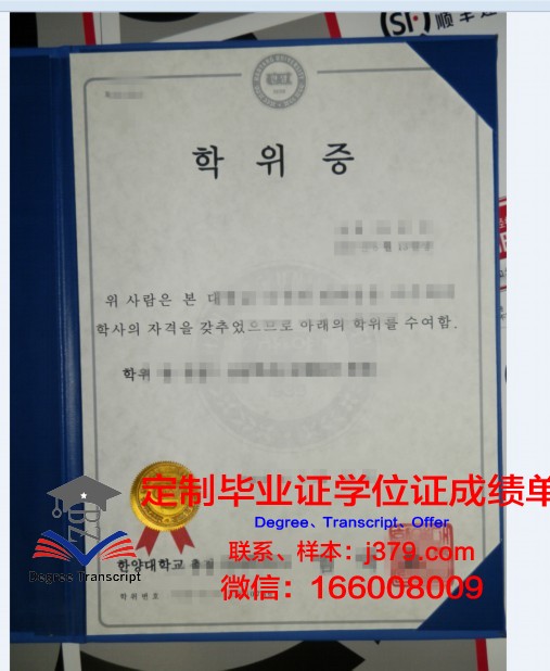 维也纳造型艺术学院学位证成绩单:一份跨越国度的学术荣耀