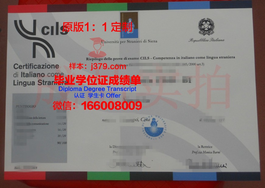 锡耶纳大学成绩单：一份承载荣誉与梦想的纸笔传奇