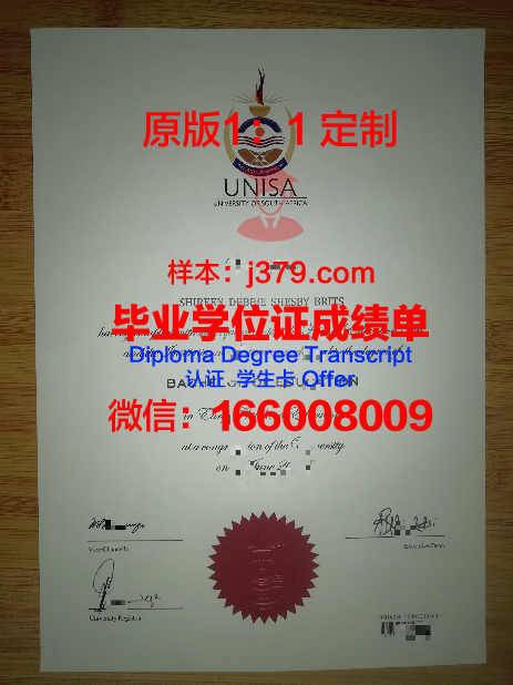 日情大硕士毕业证：一份跨国教育的见证