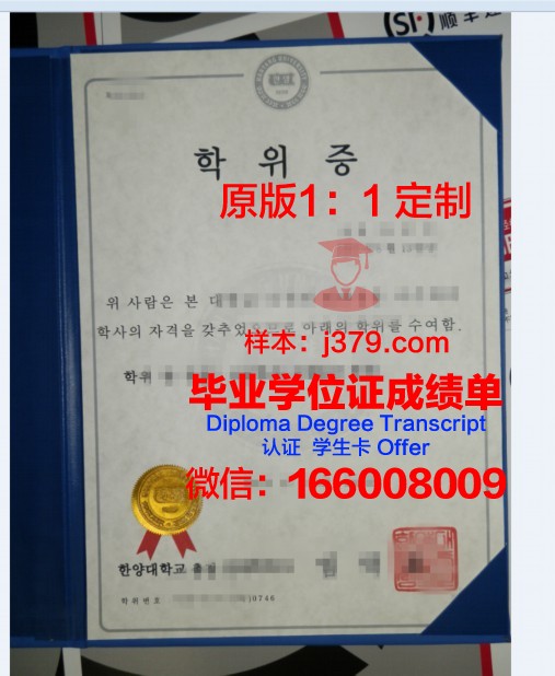 纽约视觉艺术学院硕士学位证:开启艺术职业新篇章