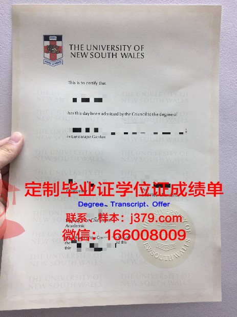 维工大博士毕业证:一张纸背后的故事