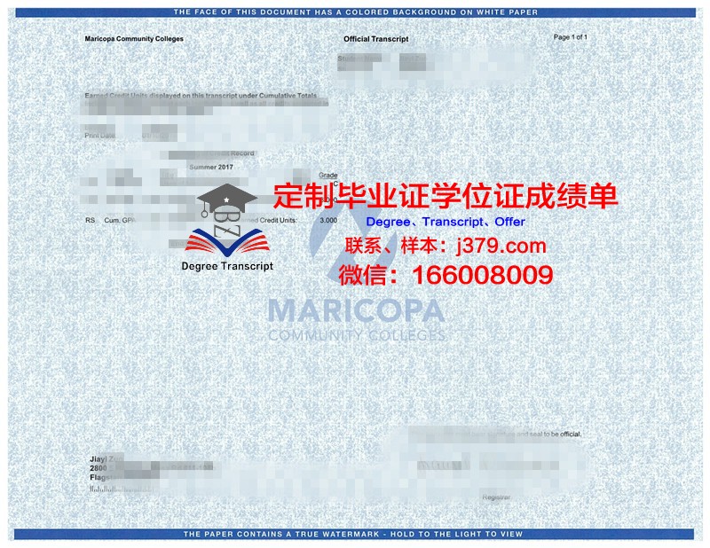 宾州PSU学位成绩单定制:诚信与教育的反思