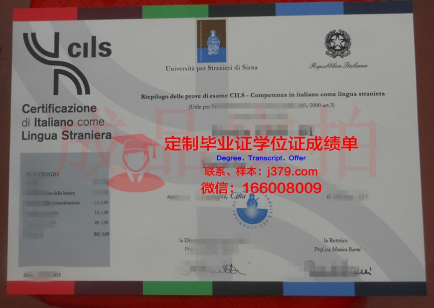 锡耶纳外国人大学本科毕业证:跨越国界的学术荣耀