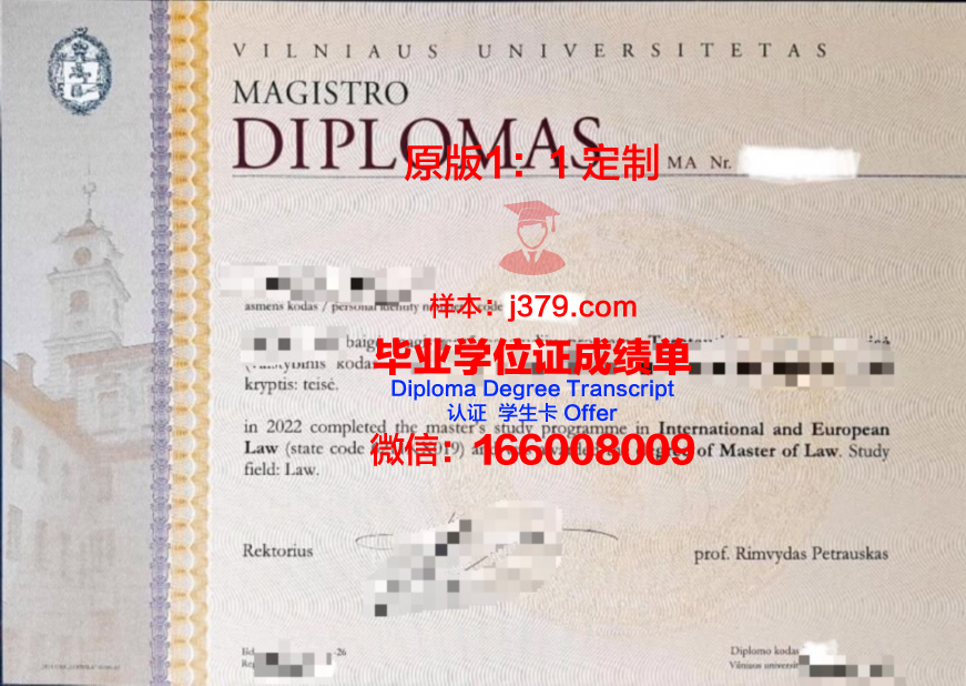 维尔纽斯工业大学校园卡(维尔纽斯技术大学)