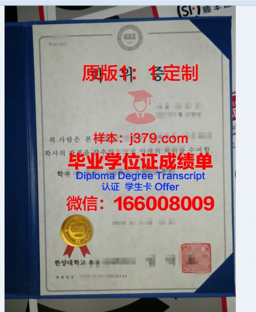 长崎U硕士学位证:跨国教育的魅力与价值