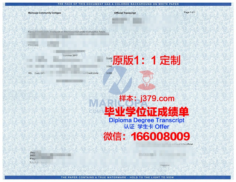 日惹州大学学位成绩单定制:探索学术诚信与合法权益的边界