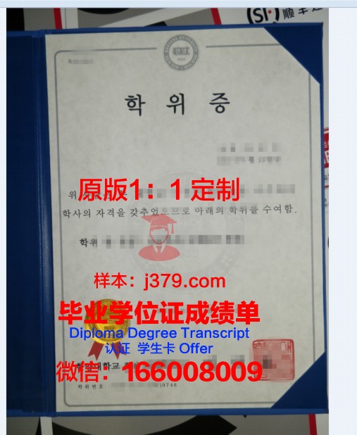 里西大博士学位证:承载荣誉与梦想的象征