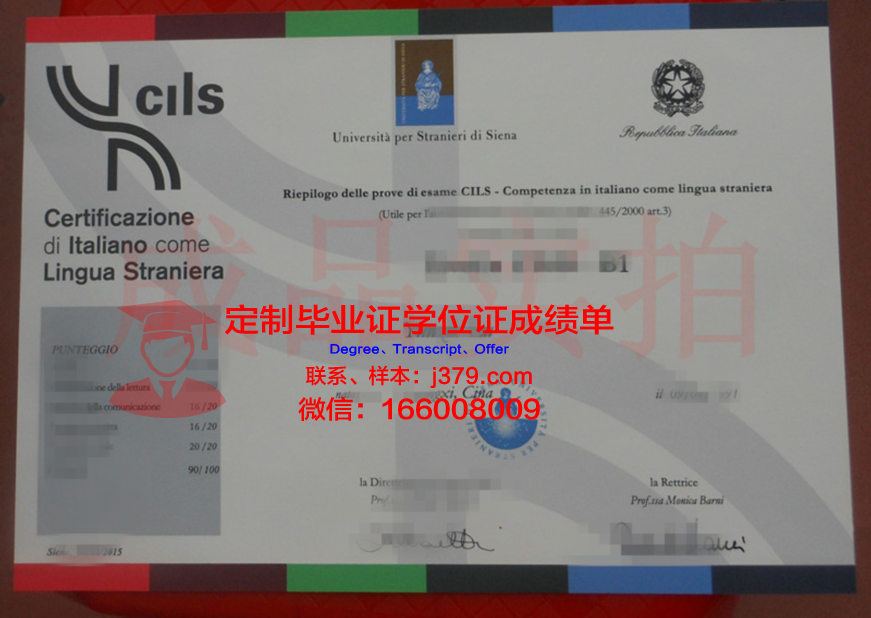 锡耶纳外国人大学学位证成绩单：一份国际认可的学术成就