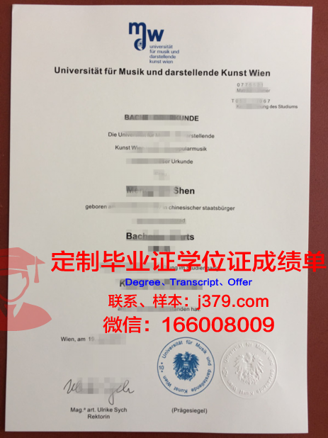 维也纳造型艺术学院硕士毕业证书样本(维也纳艺术学院负全责)