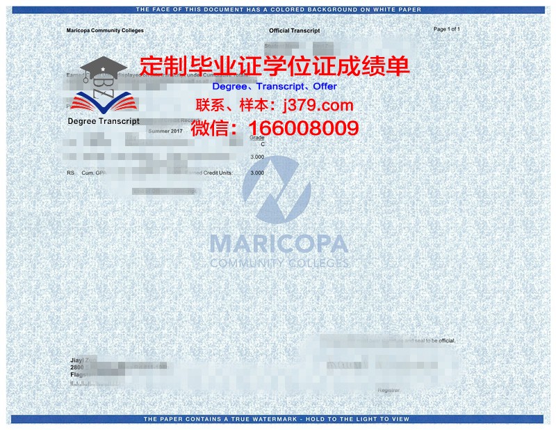 维塞乌理工学院成绩单：展现学生能力的量化报告
