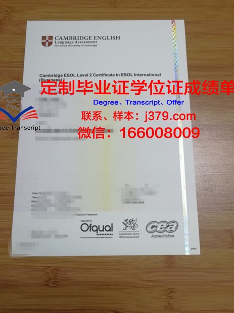 经济学院毕业证书:承载荣誉与梦想的纸笔传奇