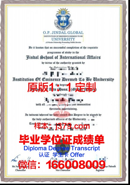 贡达尔大学毕业证书图片模板(贡达尔大学毕业证书图片模板高清)