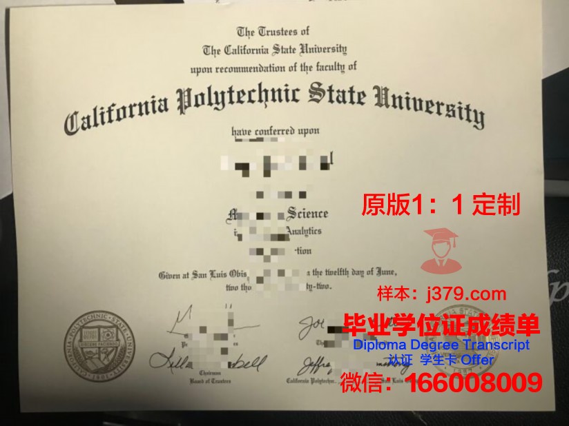 格勒诺布尔综合理工学院毕业证电子版(格勒诺布尔综合理工大学)