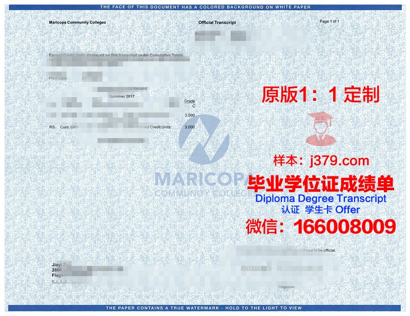 长崎大学成绩单:一份国际化的学术见证