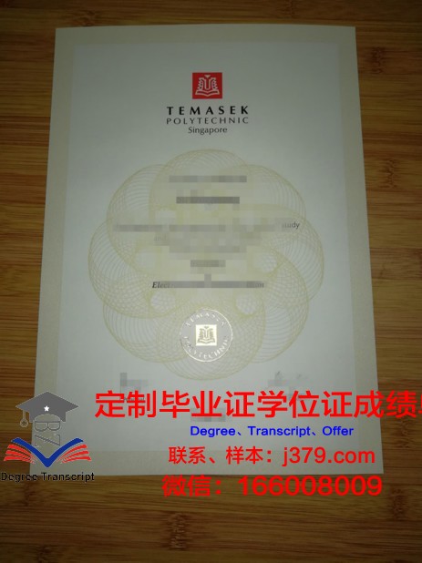 格拉茨技术大学学历证书(格拉茨理工学院)