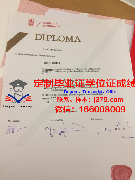 格罗宁根大学毕业证书(格罗宁根大学相当于国内)