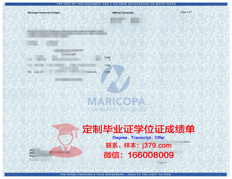 贡比涅技术大学成绩单