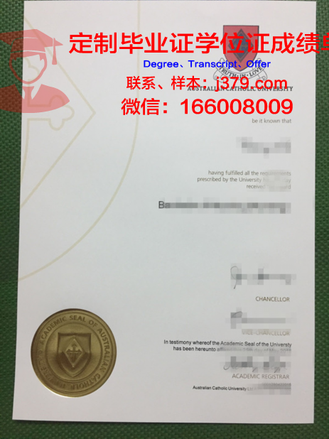 安德烈斯·贝略天主教大学毕业证:一张纸背后的故事