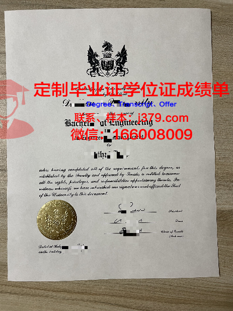 贡达尔大学的毕业证啥样(贡达尔史诗是什么意思)