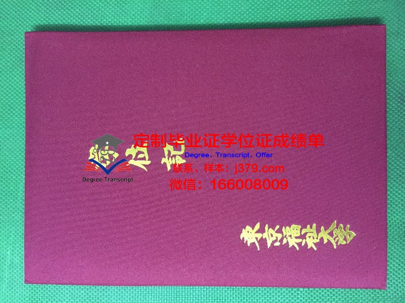 日本健康医疗专门学校毕业证书图片(日本健康院)
