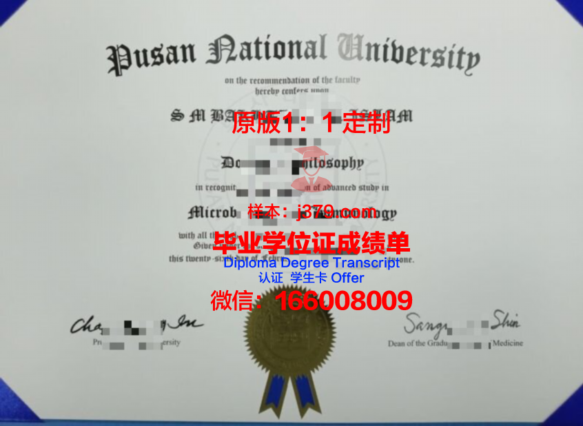 釜山大学毕业证书时间(釜山大学含金量)