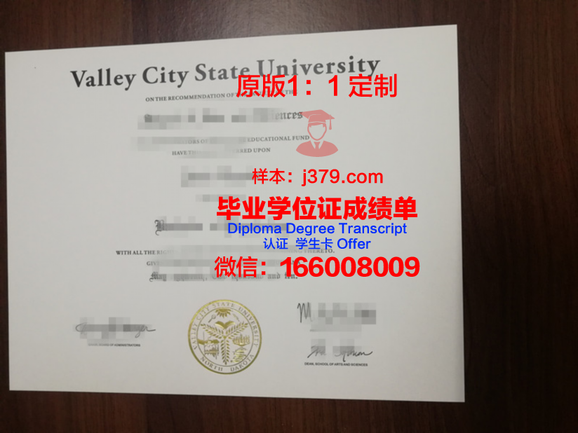 费瓦利大学学位成绩单定制:质量与诚信的双重考量
