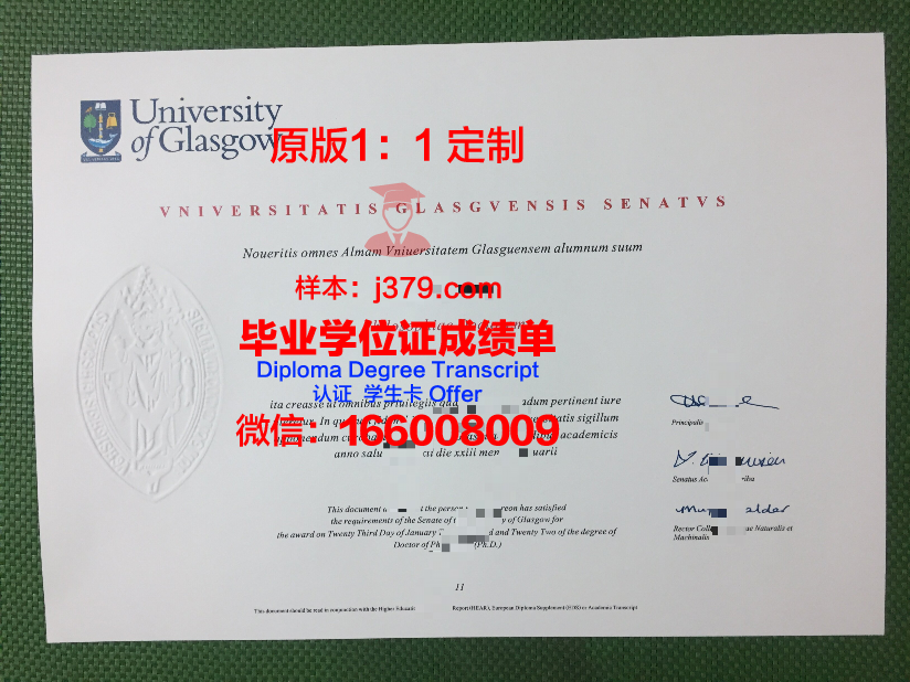 格拉茨技术大学博士毕业证(格拉斯哥大学博士奖学金)