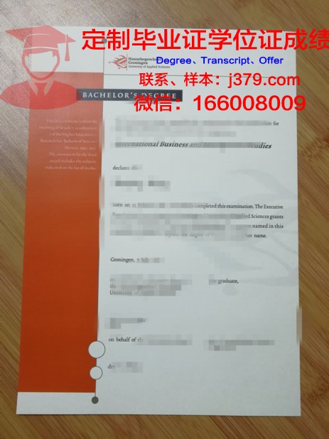 格罗宁根汉斯大学毕业证diploma
