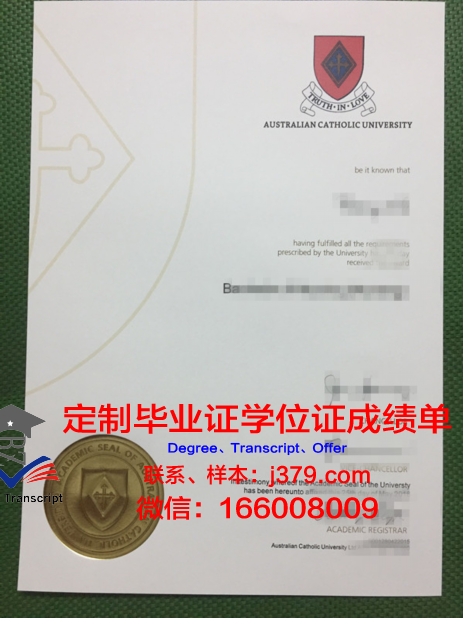 里约热内卢天主教大学毕业证书(里约热内卢天梯大教堂)