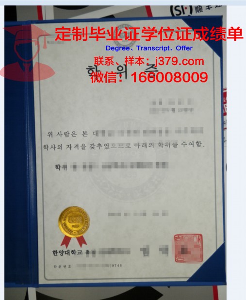 STSU学位证成绩单:学术成就的见证与未来之路的指南