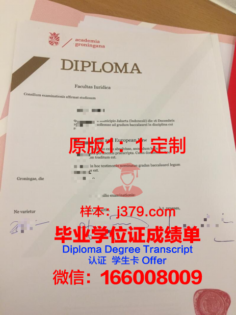 格罗宁根大学学生证(格罗宁根大学毕业证)