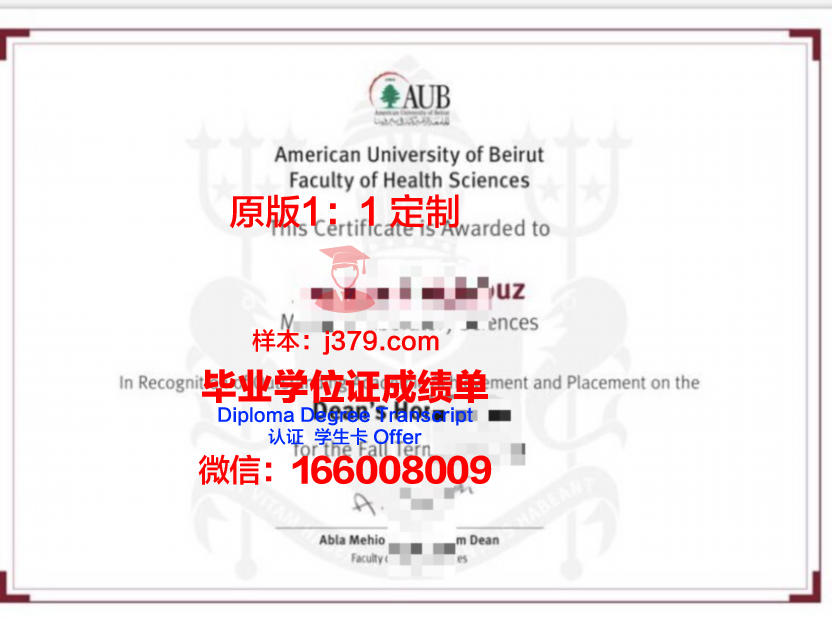 贝鲁特阿拉伯大学毕业证壳子