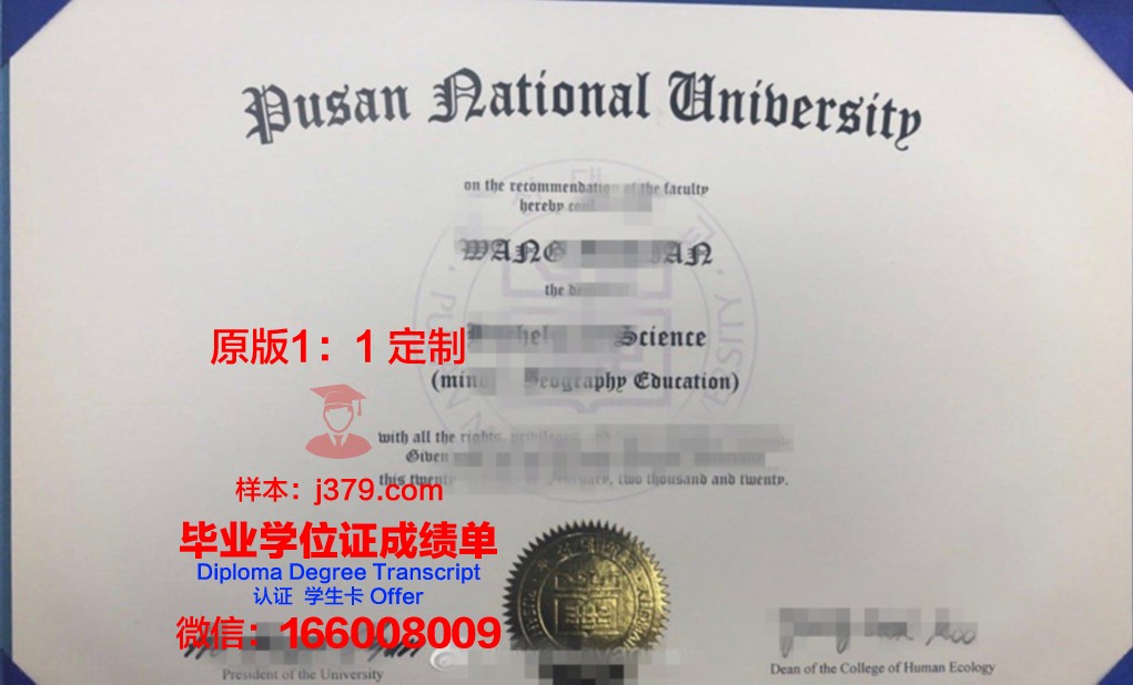 釜山大学毕业证书时间(釜山大学含金量)