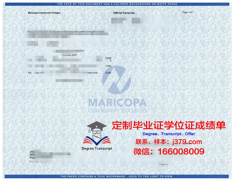 宝塚大学学位成绩单定制:专业、严谨、高效的服务体验