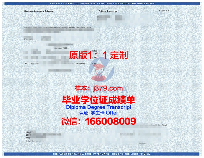 锡耶拉学院成绩单:一份反映学生成长的画卷