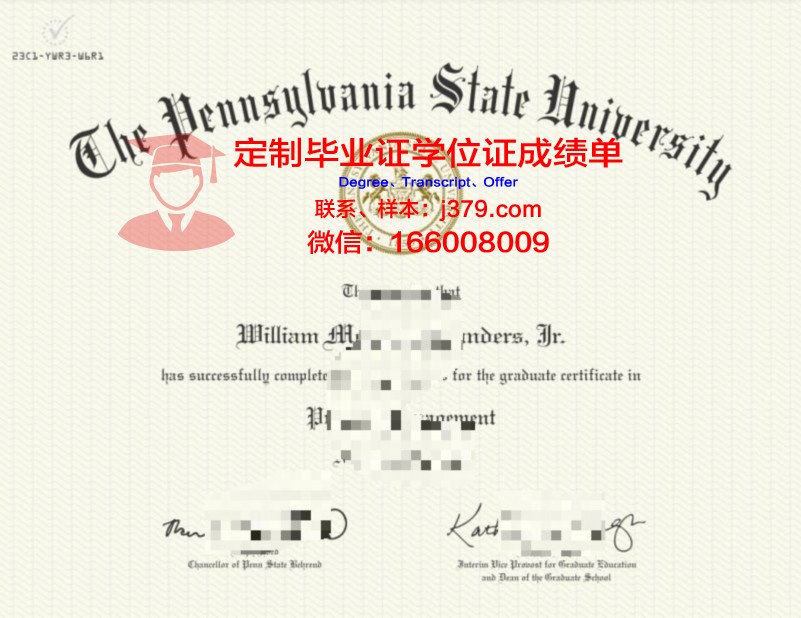 宾夕法尼亚米勒斯维尔大学毕业证定制:传承与创新的艺术结晶
