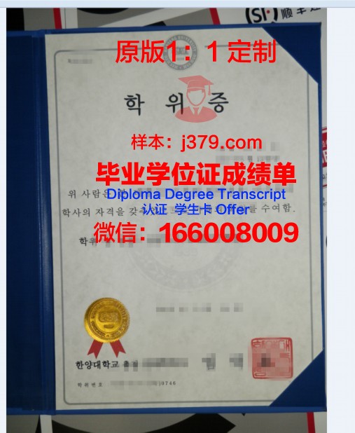 安迪扬国立语言师范学院学位证成绩单：一份见证成长与荣耀的证书