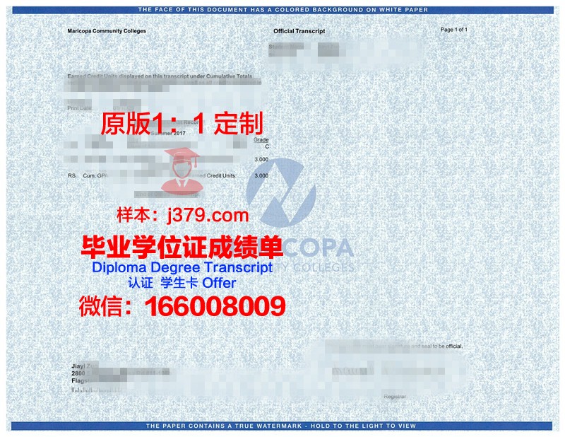 里约热内卢联邦大学证书成绩单(里约热内卢排名)
