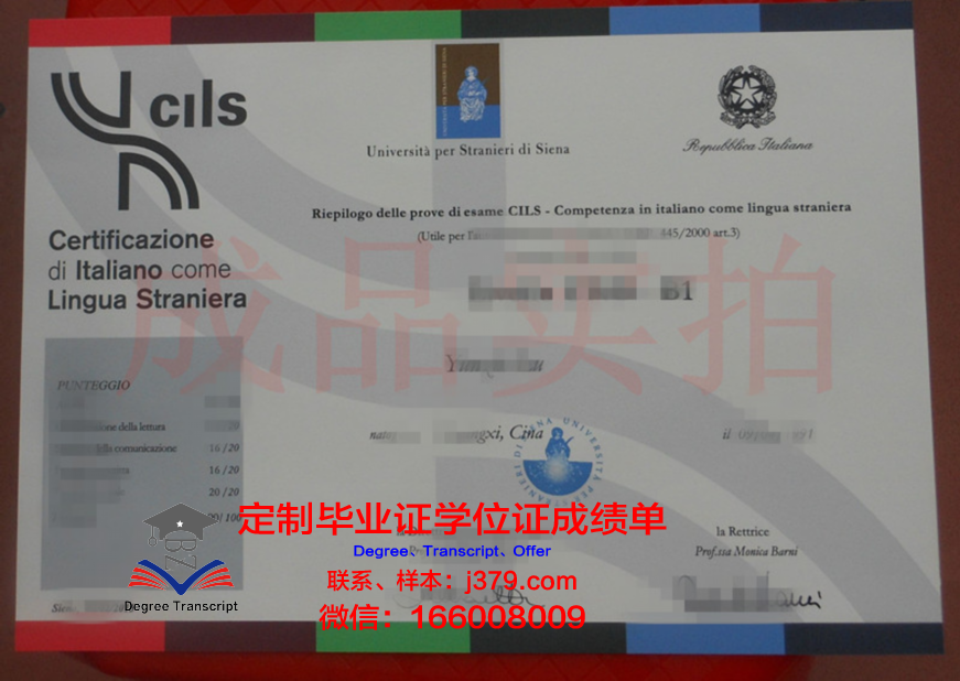 锡耶纳赫兹大学毕业文凭