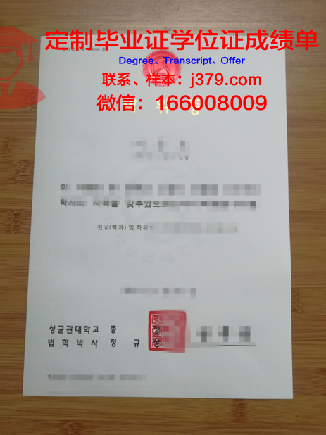 锡比乌大学本科学位证：开启国际化教育新篇章