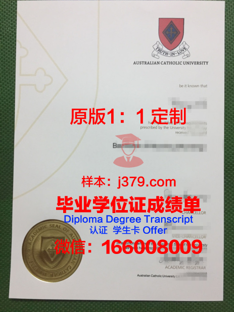 里约热内卢天主教大学diploma证书(里约热内卢天梯大教堂)