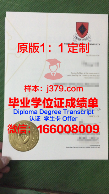 里约热内卢天主教大学博士毕业证书