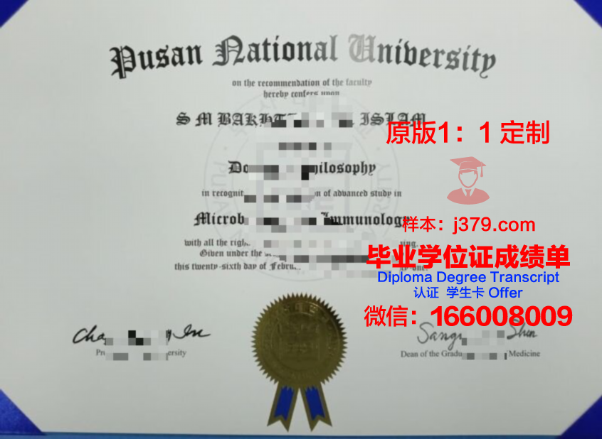 釜山国立大学毕业证原版(釜山国立大学好进吗)