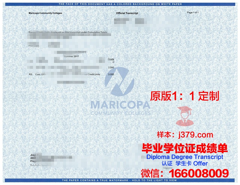 State成绩单：揭示教育质量的“晴雨表”