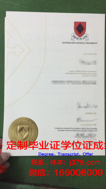 安德烈斯·贝略天主教大学毕业证壳子
